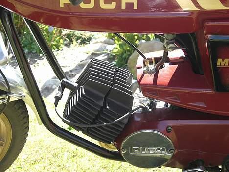 Puch Monza Juvel - Monza <3 - Nymalet cylinder + topstykke ^^ billede 6