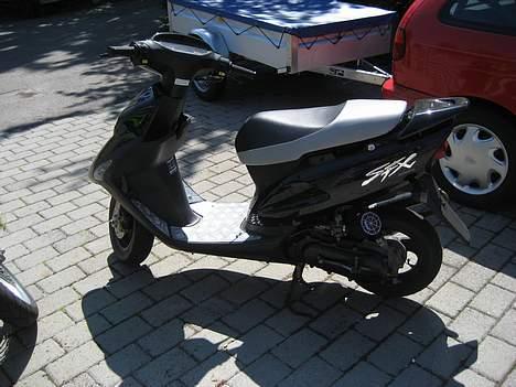 Honda sfx billede 13