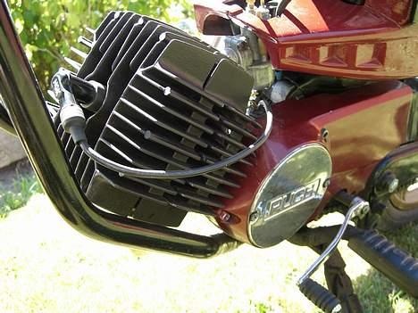 Puch Monza Juvel - Monza <3 - Nymalet cylinder + topstykke ^^ billede 7