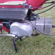 Puch Maxi K
