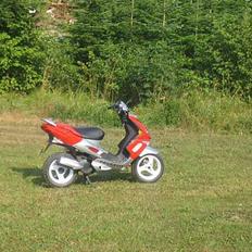 Peugeot Rally Victory 2tal skadet