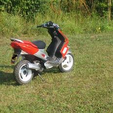 Peugeot Rally Victory 2tal skadet