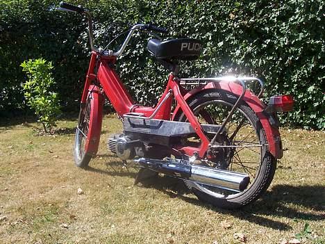 Puch maxi billede 12
