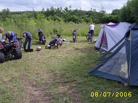 Puch Maxi P (SOLGT) billede 15