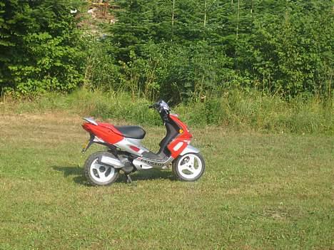 Peugeot Rally Victory 2tal skadet billede 2