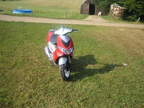 Peugeot Rally Victory 2tal skadet billede 5