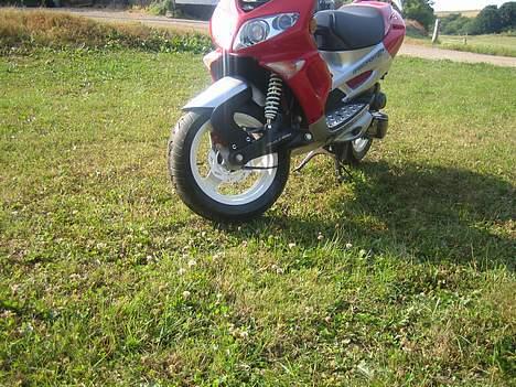 Peugeot Rally Victory 2tal skadet billede 6