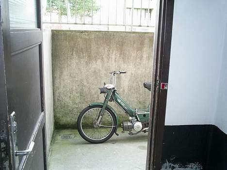 Puch Maxi K AC (solgt) - Gammel pic ^  Tidligere ;P billede 13