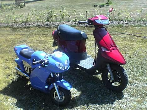 PGO comet solgt ),: - igen en af de nyeste billeder .. med de nye blinklys glas på.. og min nye pocket bike.. :P  billede 11