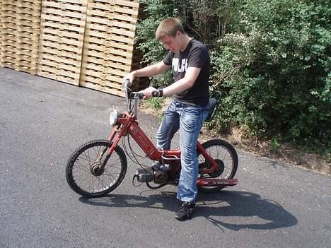 Puch Maxi P billede 6