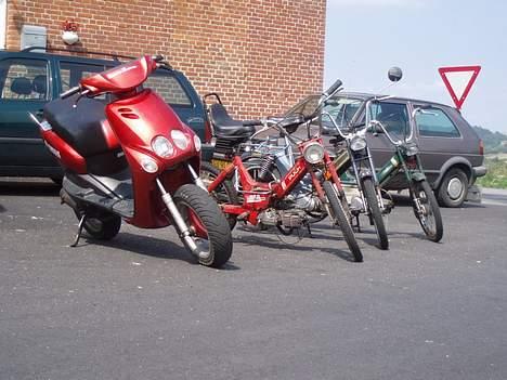 Puch Maxi P billede 8