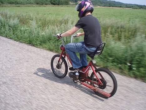 Puch Maxi P billede 10