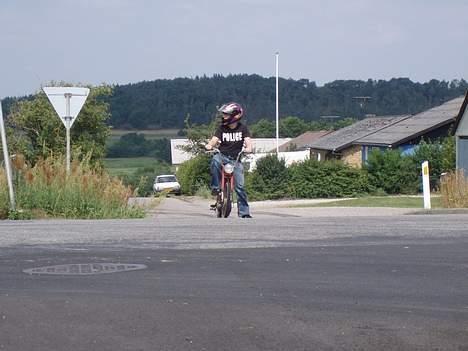 Puch Maxi P billede 12