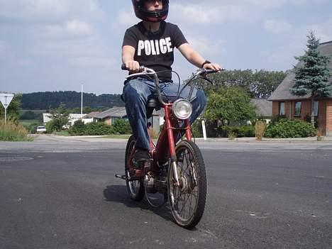 Puch Maxi P billede 13