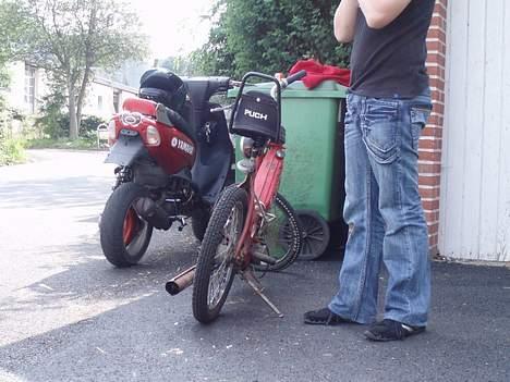 Puch Maxi P billede 14