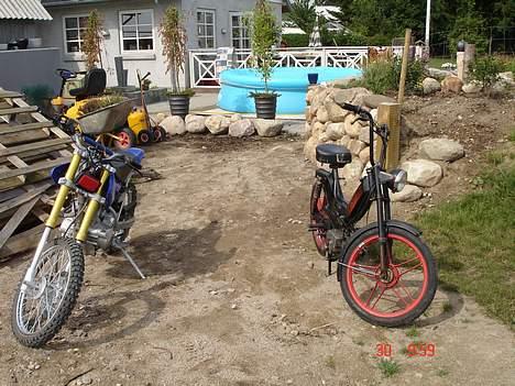 Puch 2 gear SOLGT - de to vilddyr..!! billede 1