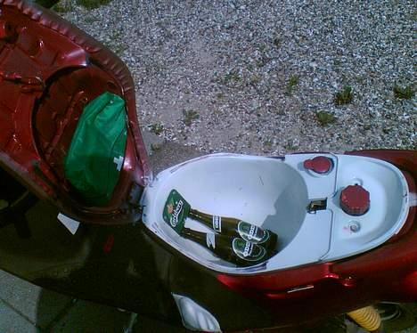 PGO Rodoshow Aka Rodo - Benzin til føren billede 3