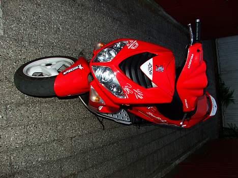 Peugeot Speedfight 2 206 WRC billede 3