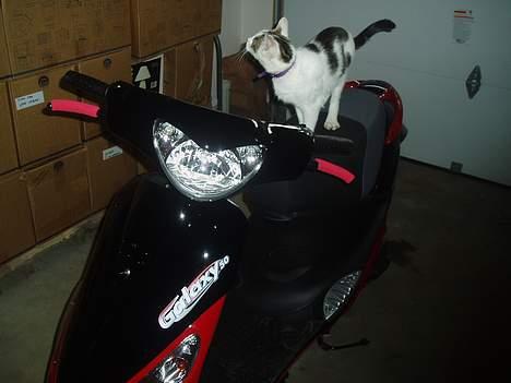 PGO Galaxy (SCOOTERTØS) SOLGT billede 11