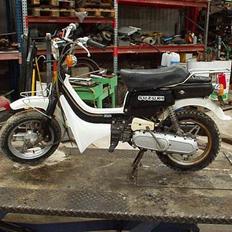 Suzuki FZ 50
