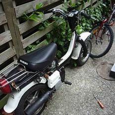 Suzuki FZ50 !! SOLGT !!