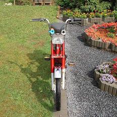 Vespa Bravo *Projekt*