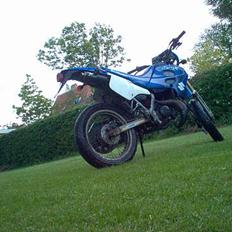 Suzuki SMX