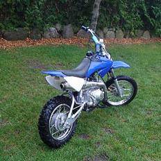 MiniBike 125cc 