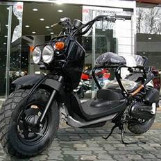 Honda zoomer