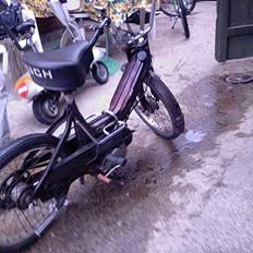 Puch maxi  SOLGT