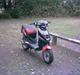 PGO PMX Sports (SOLGT)