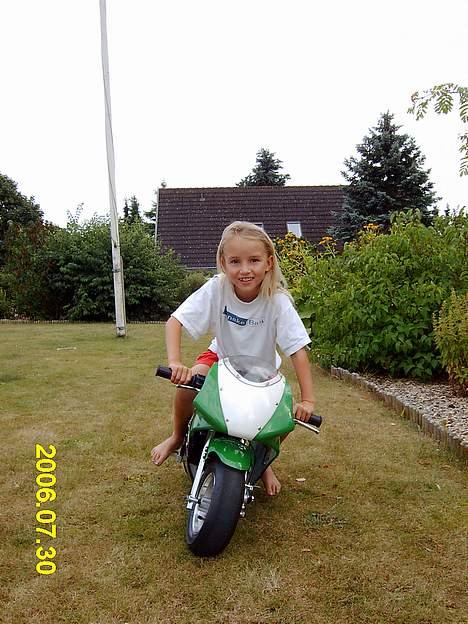MiniBike Pocketbike billede 6