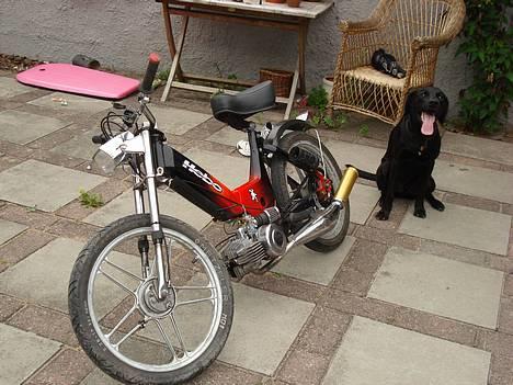 Puch Maxi - Byttet Til sonic. - Nu med øl-holder og hund billede 18