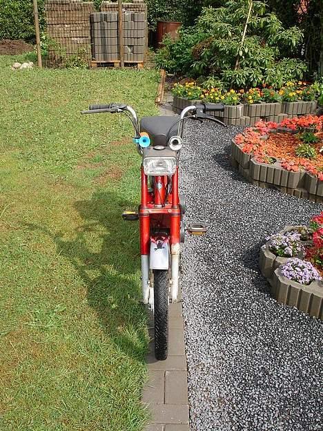 Vespa Bravo *Projekt* billede 3