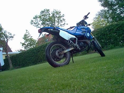 Suzuki SMX billede 2