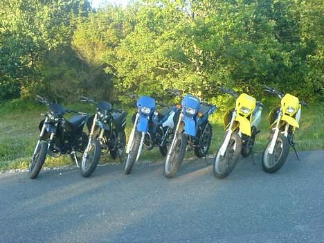 Suzuki SMX - SOLGT ! - Lidt af banden (: Min længst til venstre ;) billede 10