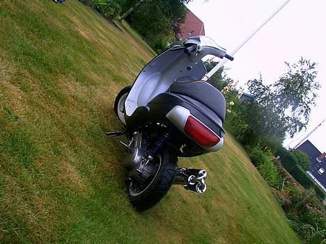 Piaggio ¤ Zip (SOLGT) ¤ - Røven som osse ser godt ud billede 2