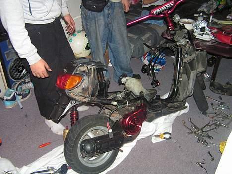 Yamaha JOGspace/pelsdyr TIL SALG - DAMN vi brugte tid på den jog..!! :S billede 10