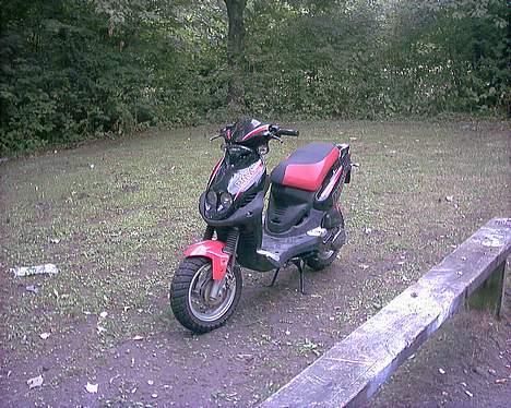 PGO PMX Sports (SOLGT) billede 4
