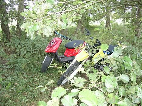 PGO hot 50 solgt billede 2