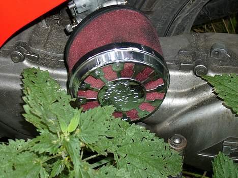 PGO hot 50 solgt billede 4