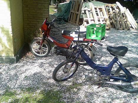 Puch        Maxi [AC]  *SOLGT* billede 6
