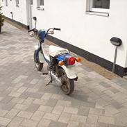 Suzuki Fz 50