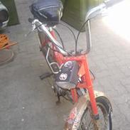 Puch maxi  { soglt }