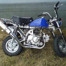 Honda SKYTEAM Monkey *SOLGT*