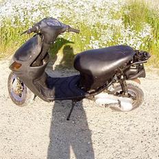 Siamoto birdie Solgt