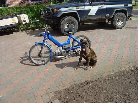 Puch maxi k  team mp solgt billede 14