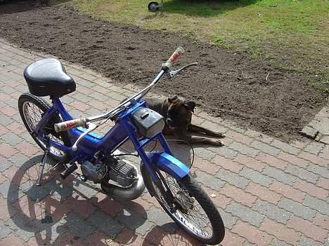 Puch maxi k  team mp solgt billede 16