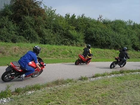 Rieju       Rs2 Matrix Stjålet! - Als Scooter Træf o6 billede 12