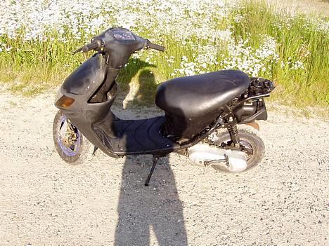 Siamoto birdie Solgt billede 1